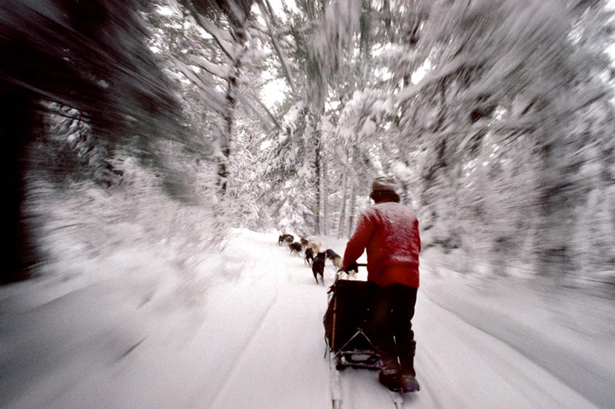 Dog sledding