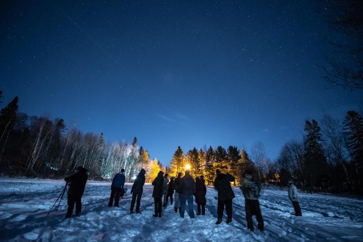 People stargazing in snowy landscape, trees in the background, night sky filled with stars.