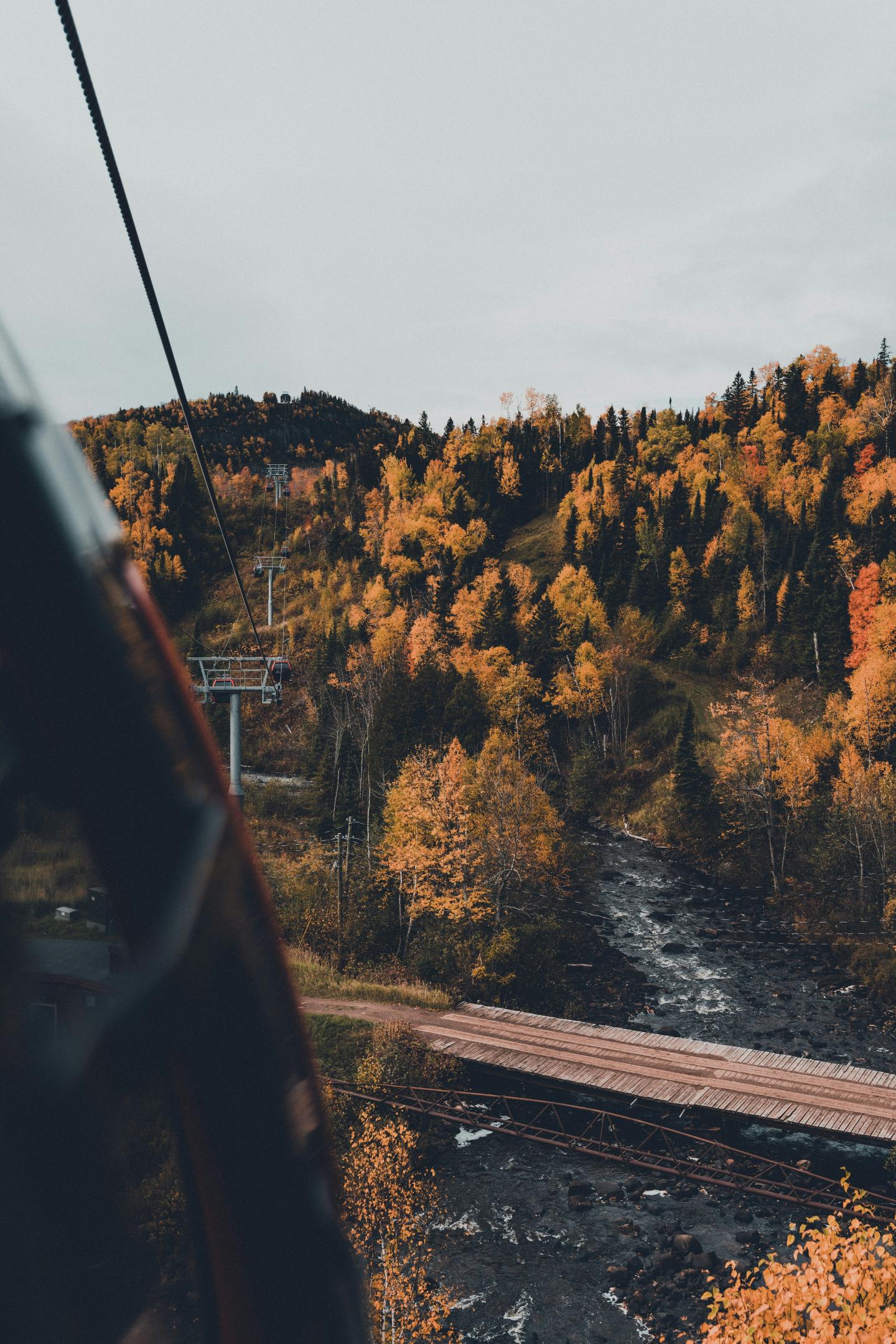 Autumn forest and river viewed from a gondola.