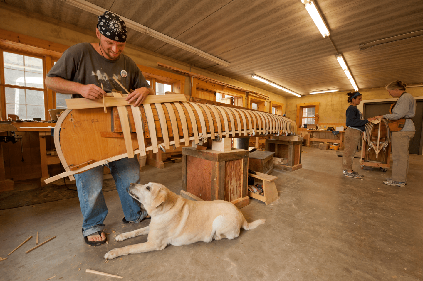 Man building wooden canoe in workshop with dog watching nearby.