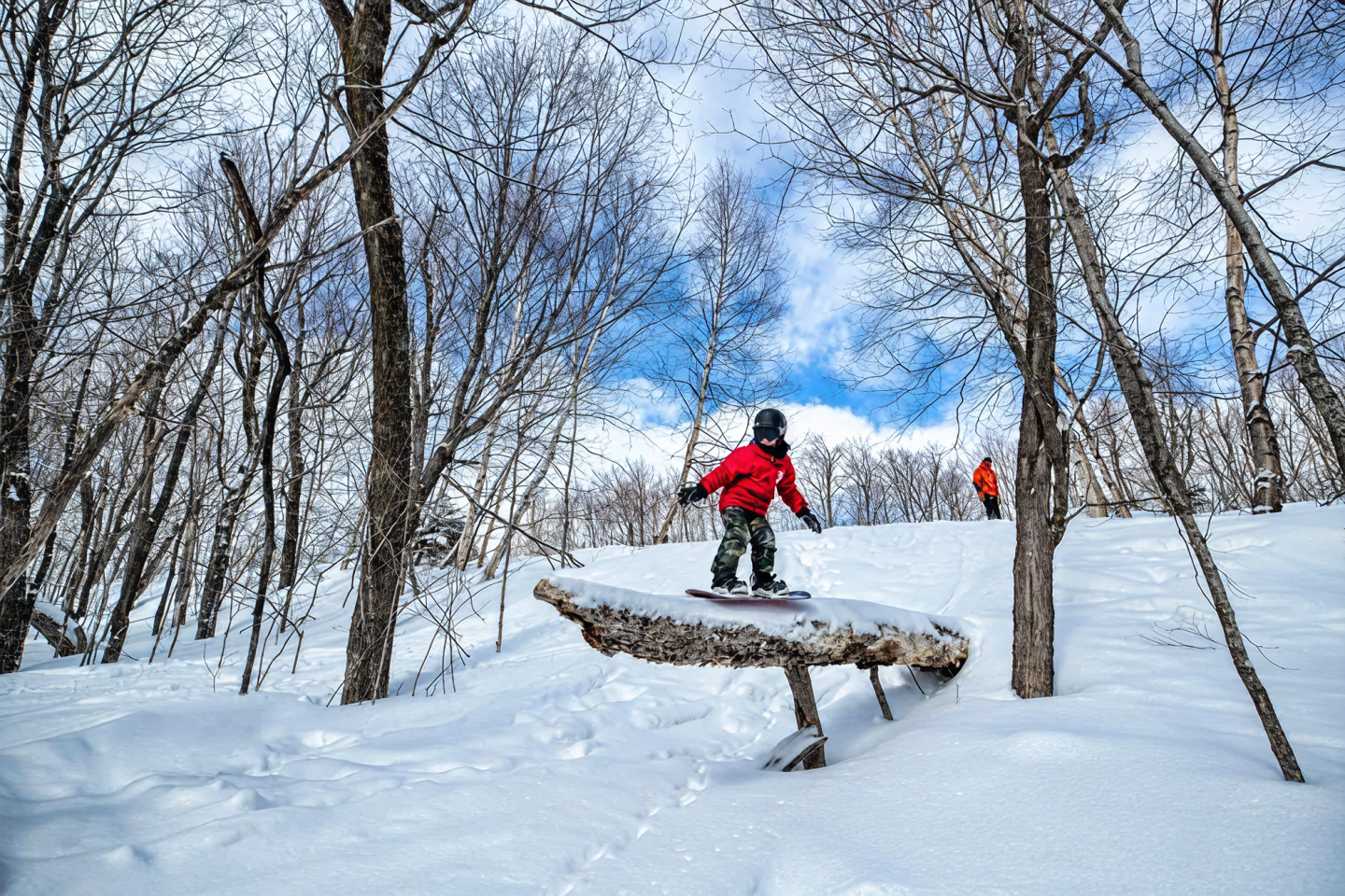 Child in red jacket snowboards on snowy path between leafless trees.