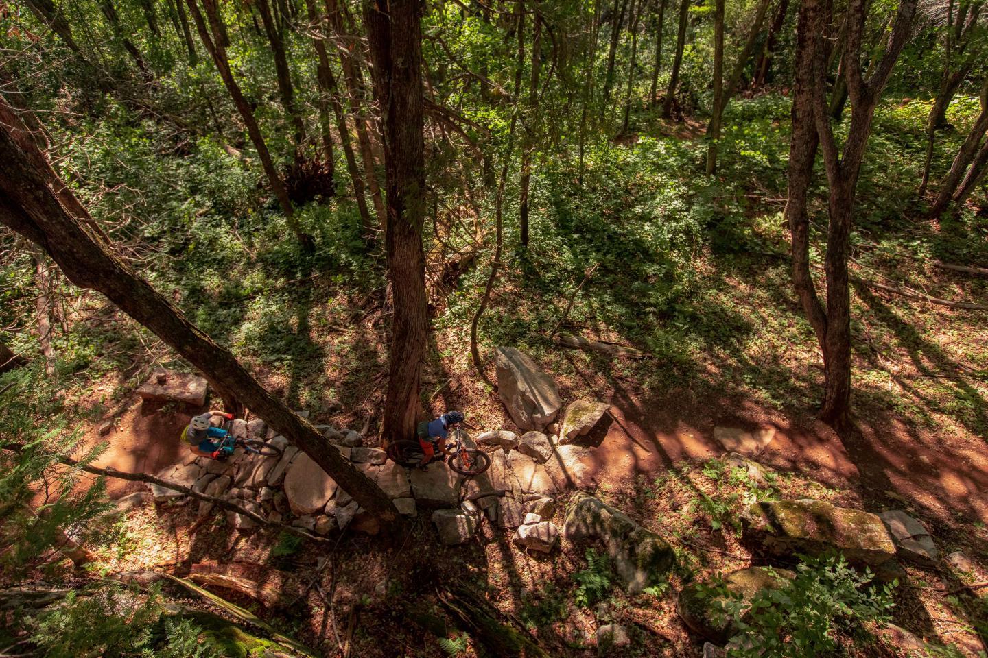 Mountain bikers on a forest trail under dense tree canopy.