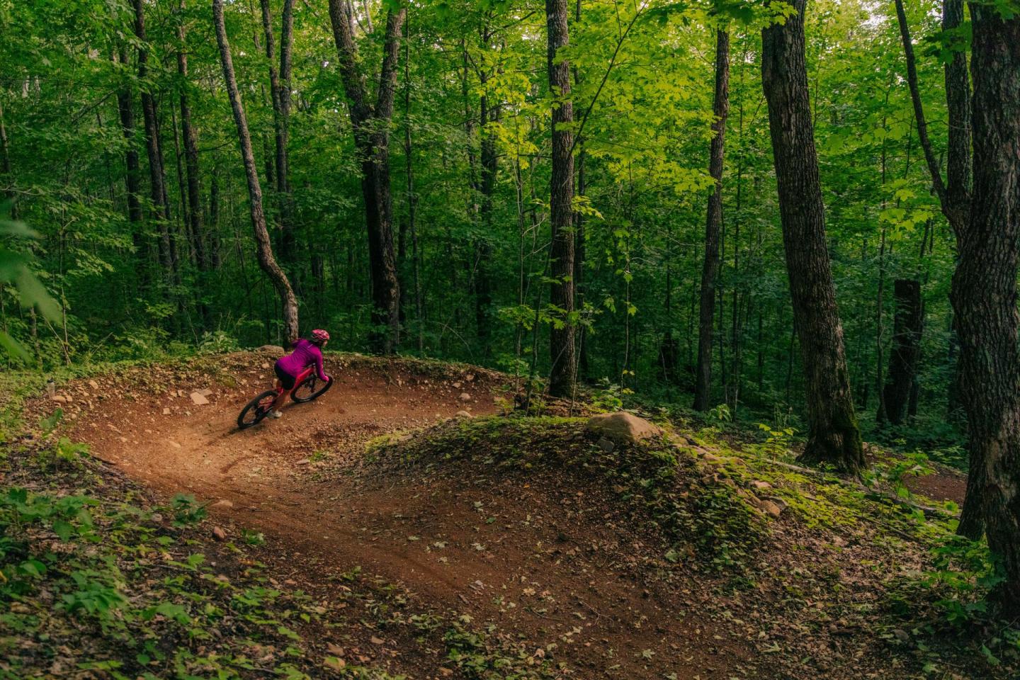 Mountain biker in pink gear navigating a forest trail.