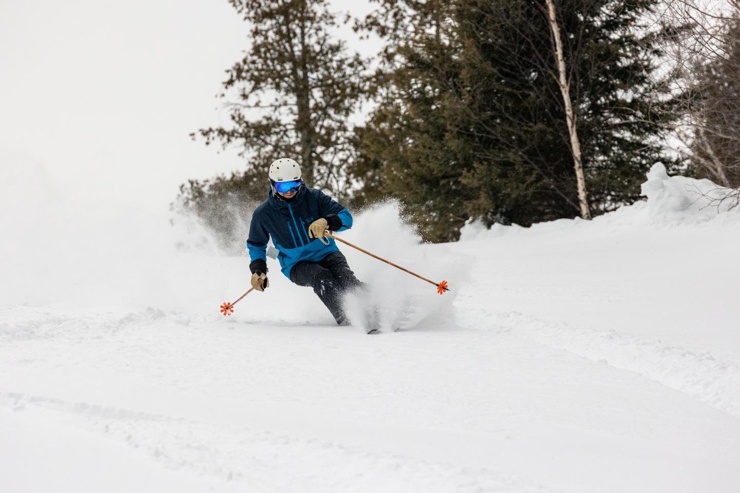 Skier in blue and black gear gliding through fresh snow, trees in background.