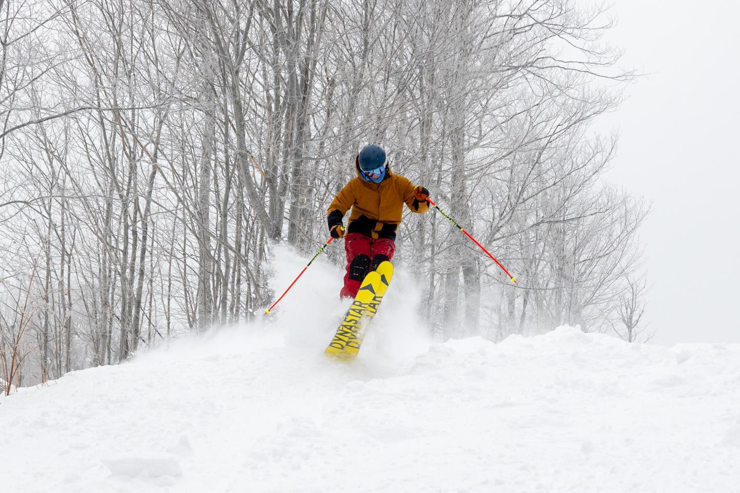 Skier in bright gear races downhill through snowy trees.