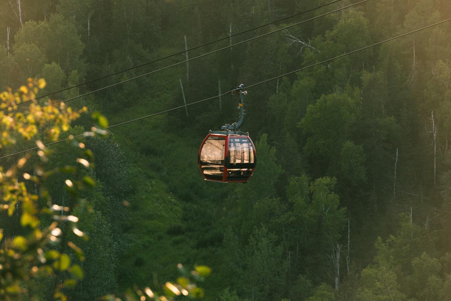 Cable car moving over lush green forest.