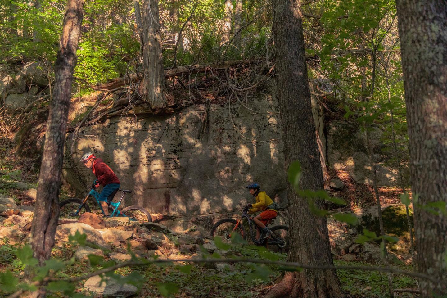 Cyclists ride through a wooded trail, surrounded by trees and dappled sunlight.