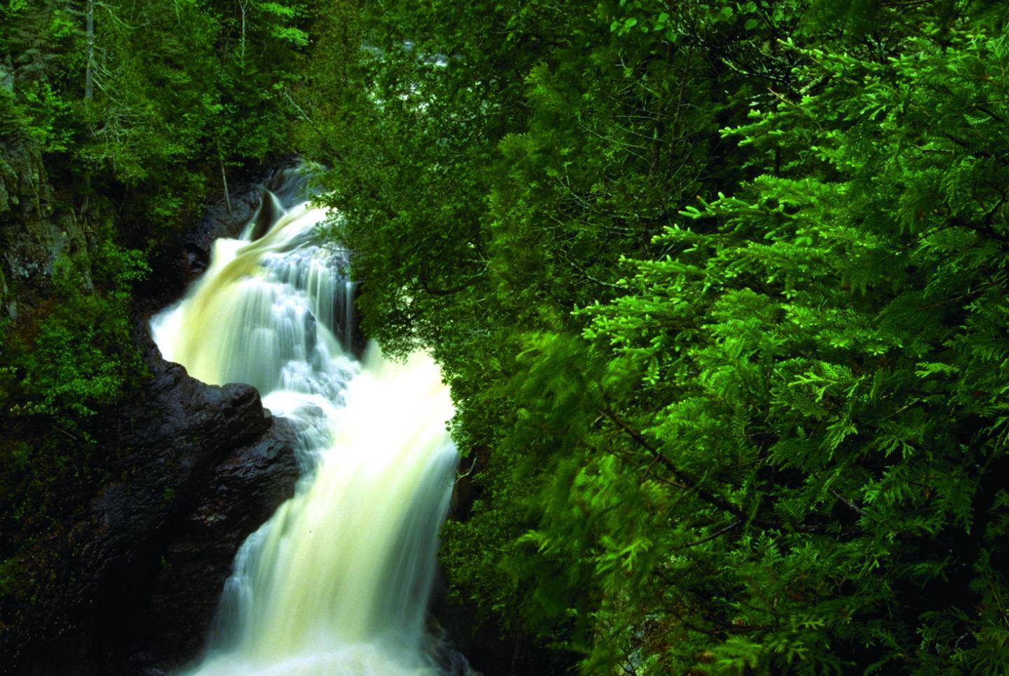 Waterfall cascading through lush green forest.