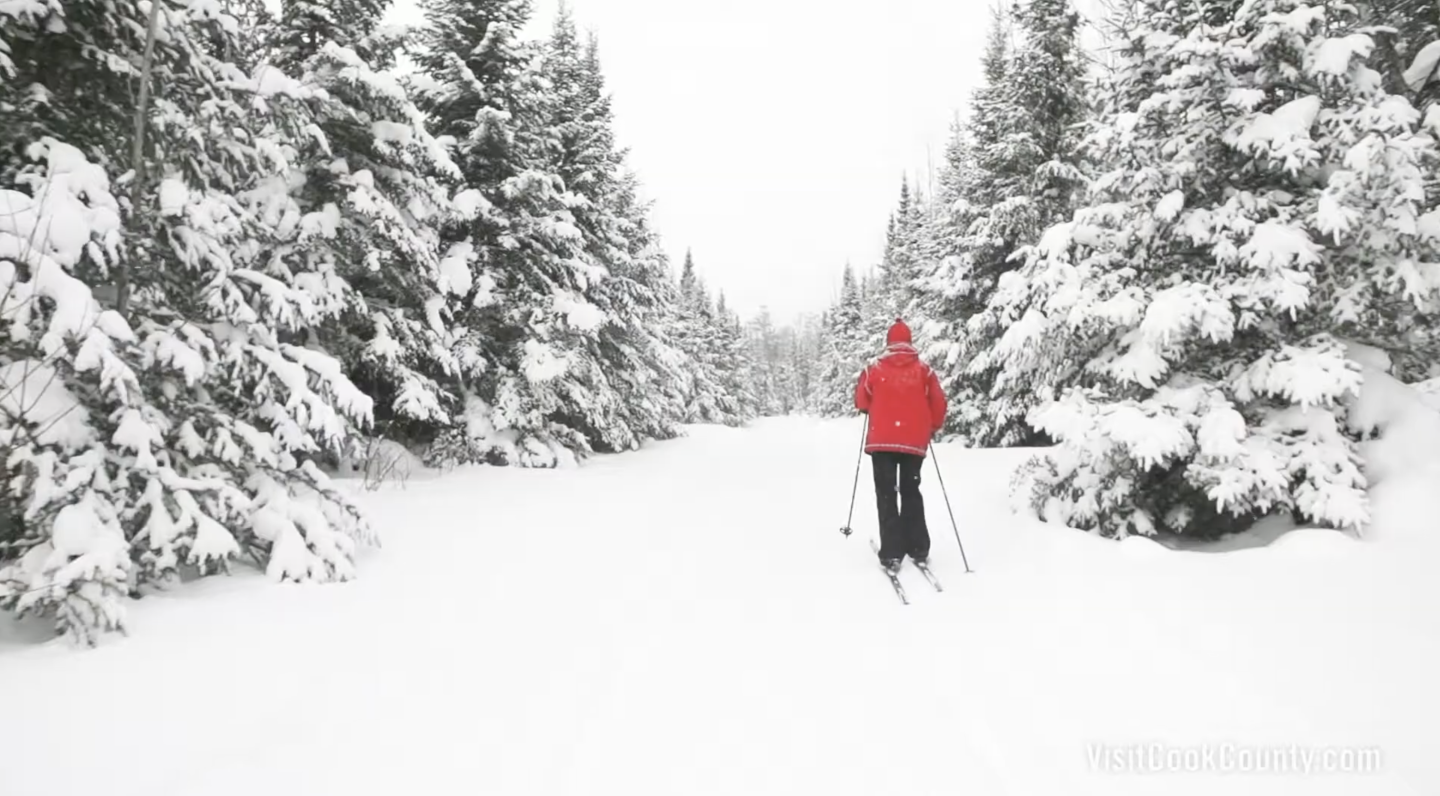 Cross-country skier in red jacket on snowy forest trail.
