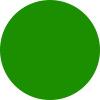 Green circle on a white background.