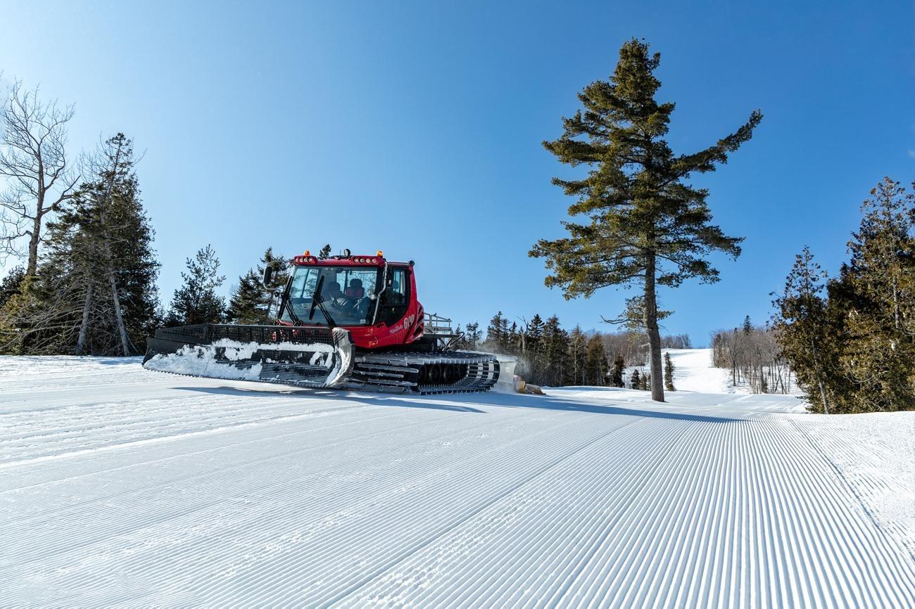 Snow groomer on a sunny day, flattening ski slopes near tall pine trees.