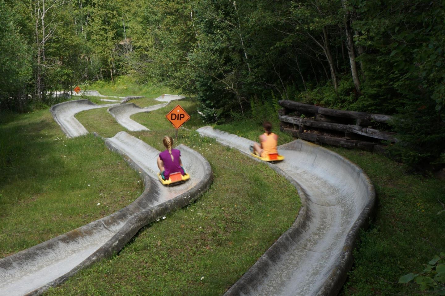 Two people riding luges on a winding concrete track through a forested area.