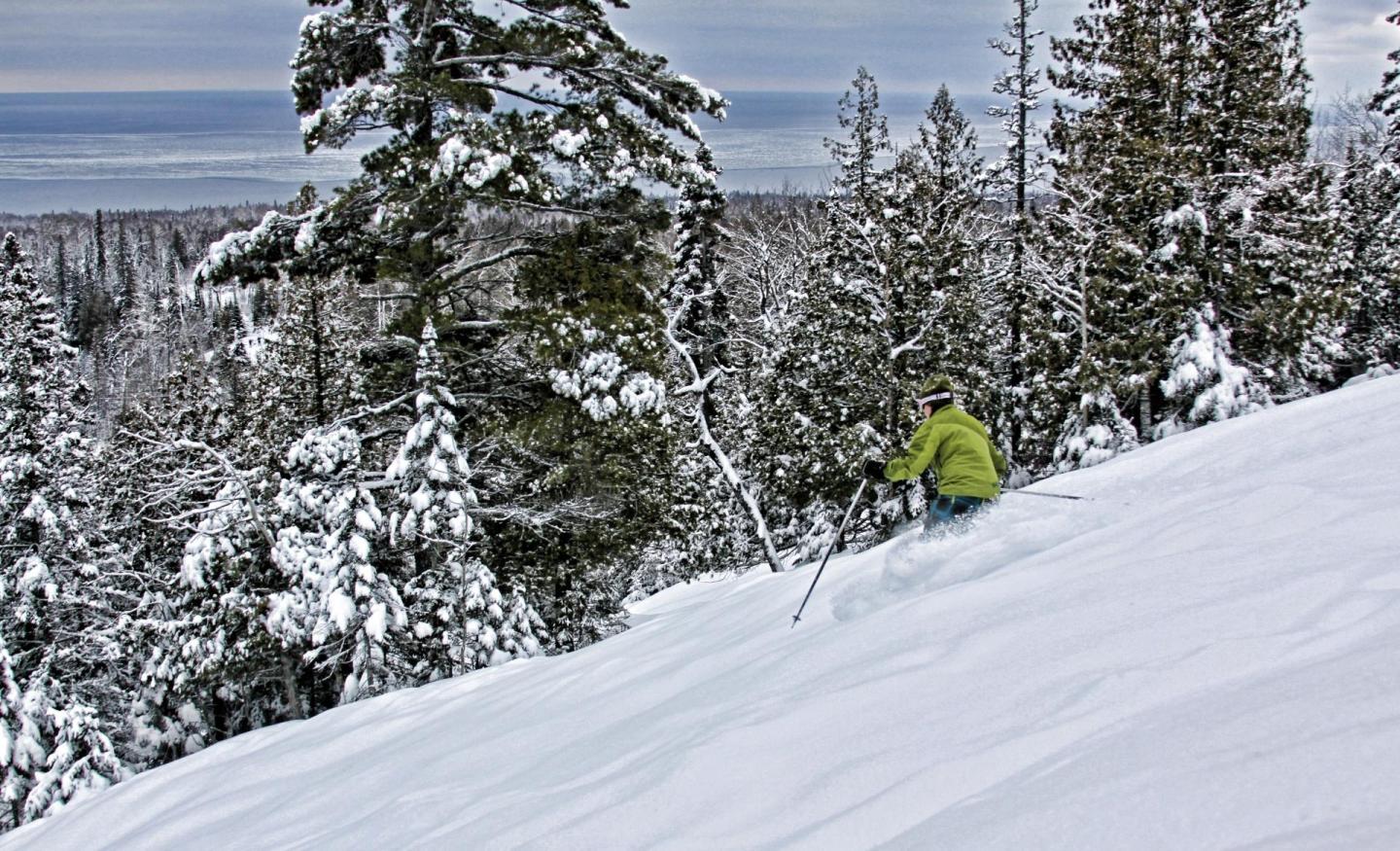 Skier in green jacket on a snowy forest slope.