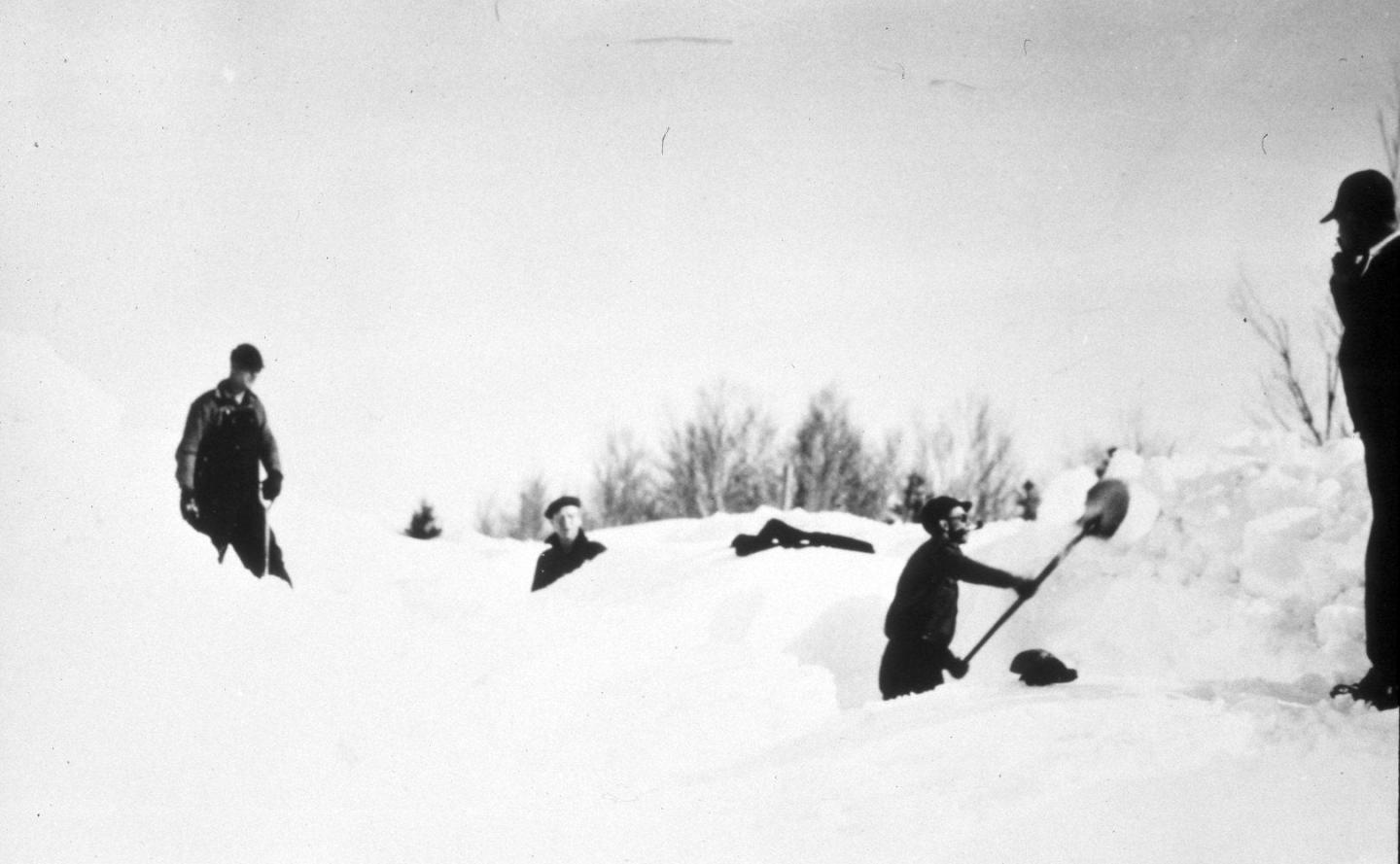 Men shoveling snow in a snowy landscape, trees in the background.