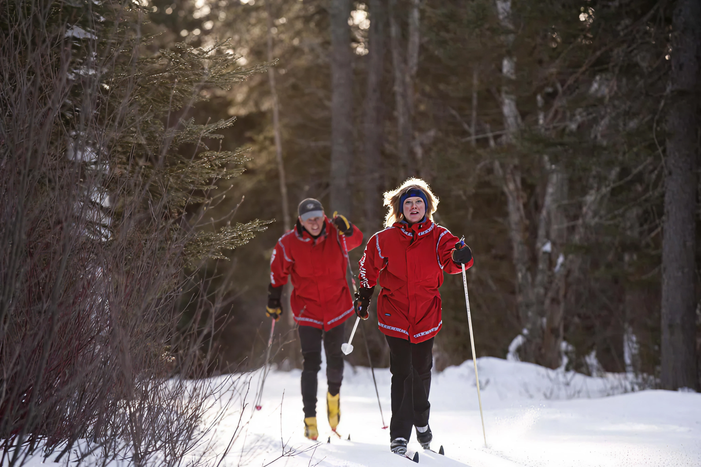 Two people in red jackets cross-country skiing in a snowy forest.