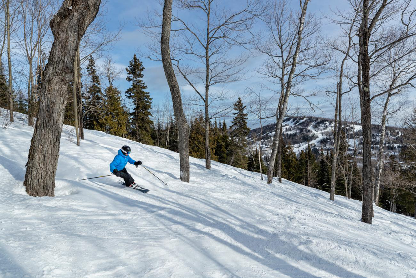 Skier in blue jacket navigating snowy forested slope under clear sky.