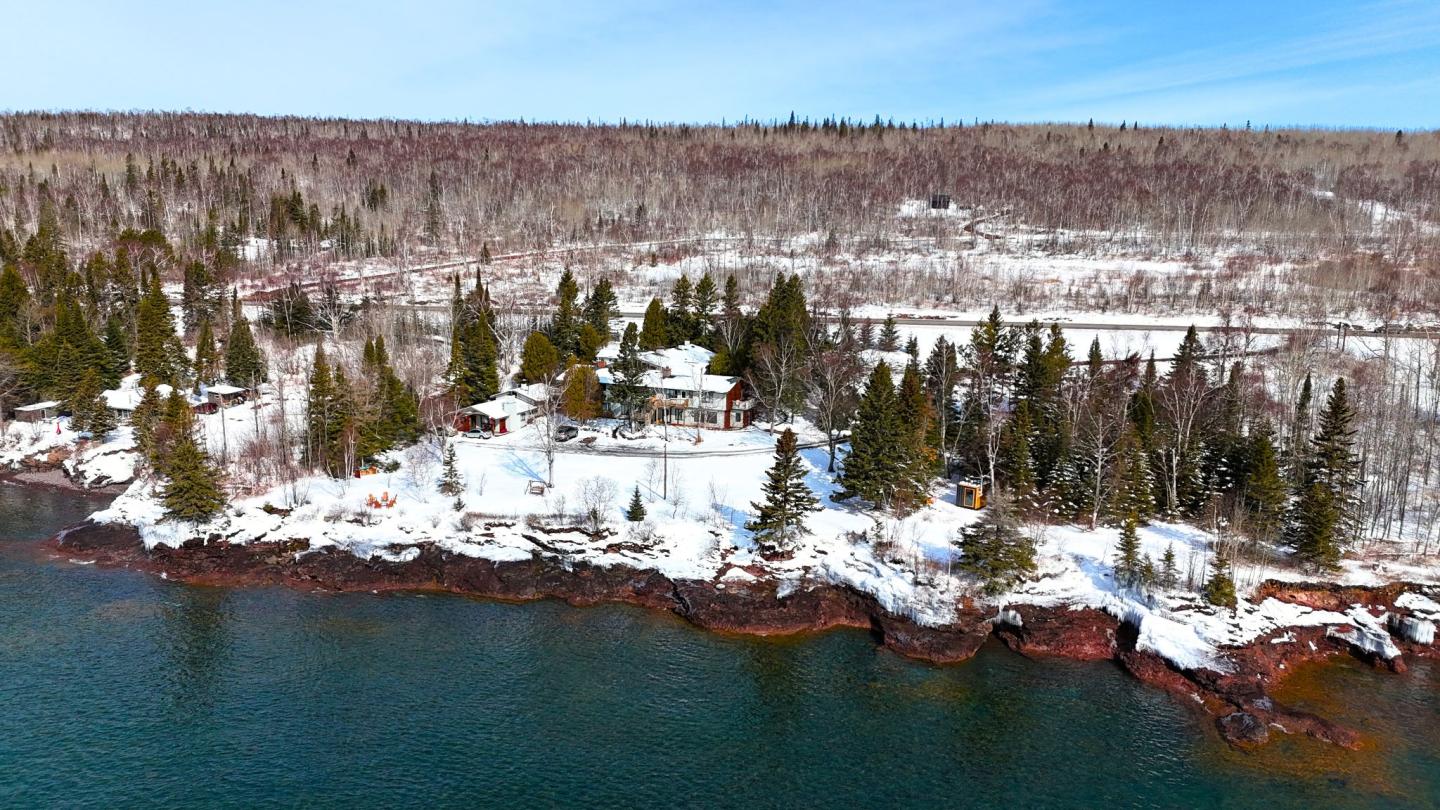 Snowy lakeside forest with distant bare trees under a blue sky.