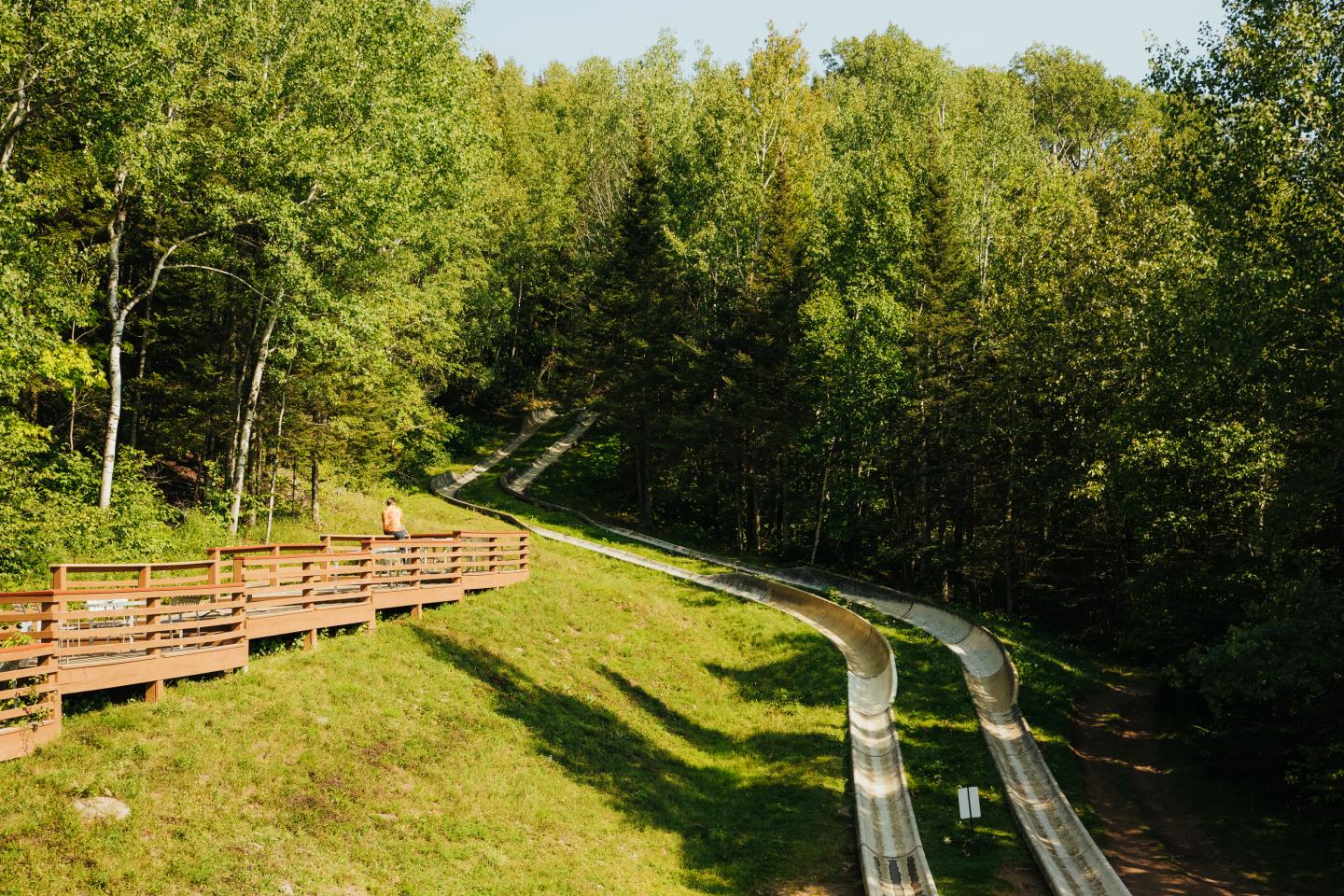 Forest slide with a wooden path and lush green trees.