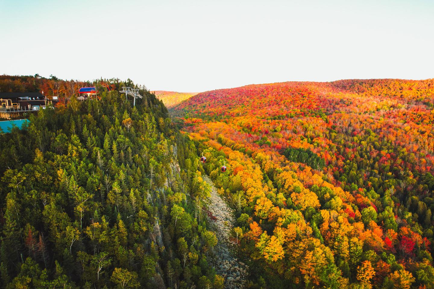 Autumn forest landscape with vibrant fall colors and a distant horizon.