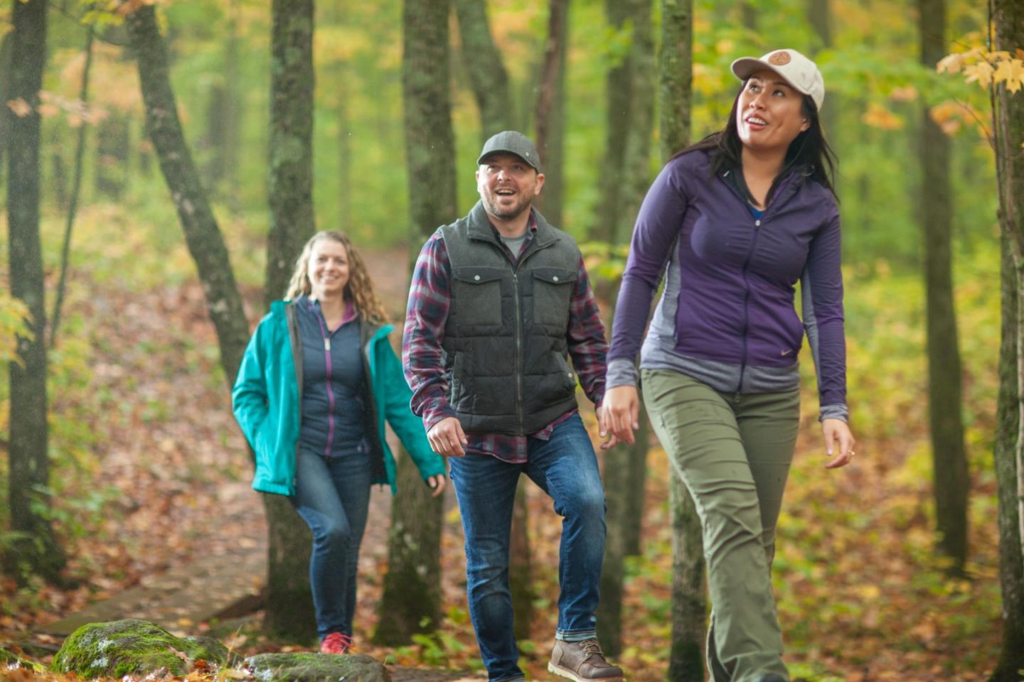 People hiking on a forest trail in autumn.