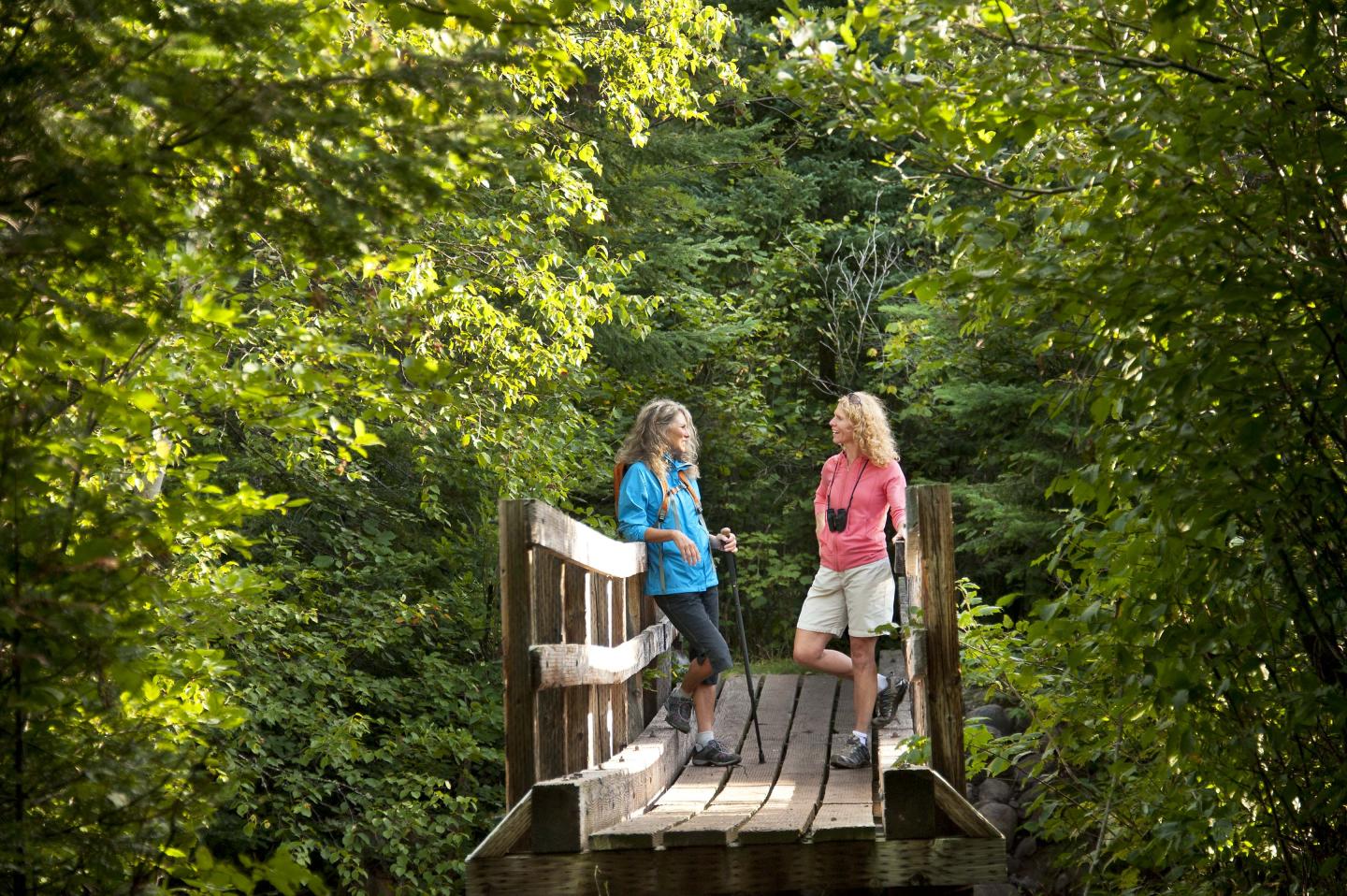 Two women talking on a wooden bridge surrounded by lush green trees.