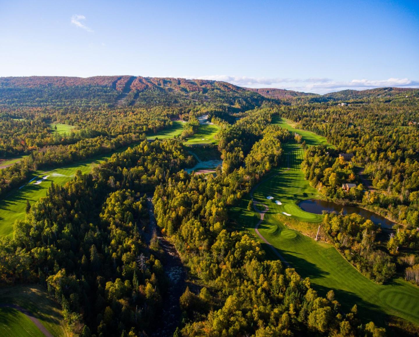Aerial view of lush green forest with intersecting trails and blue sky.