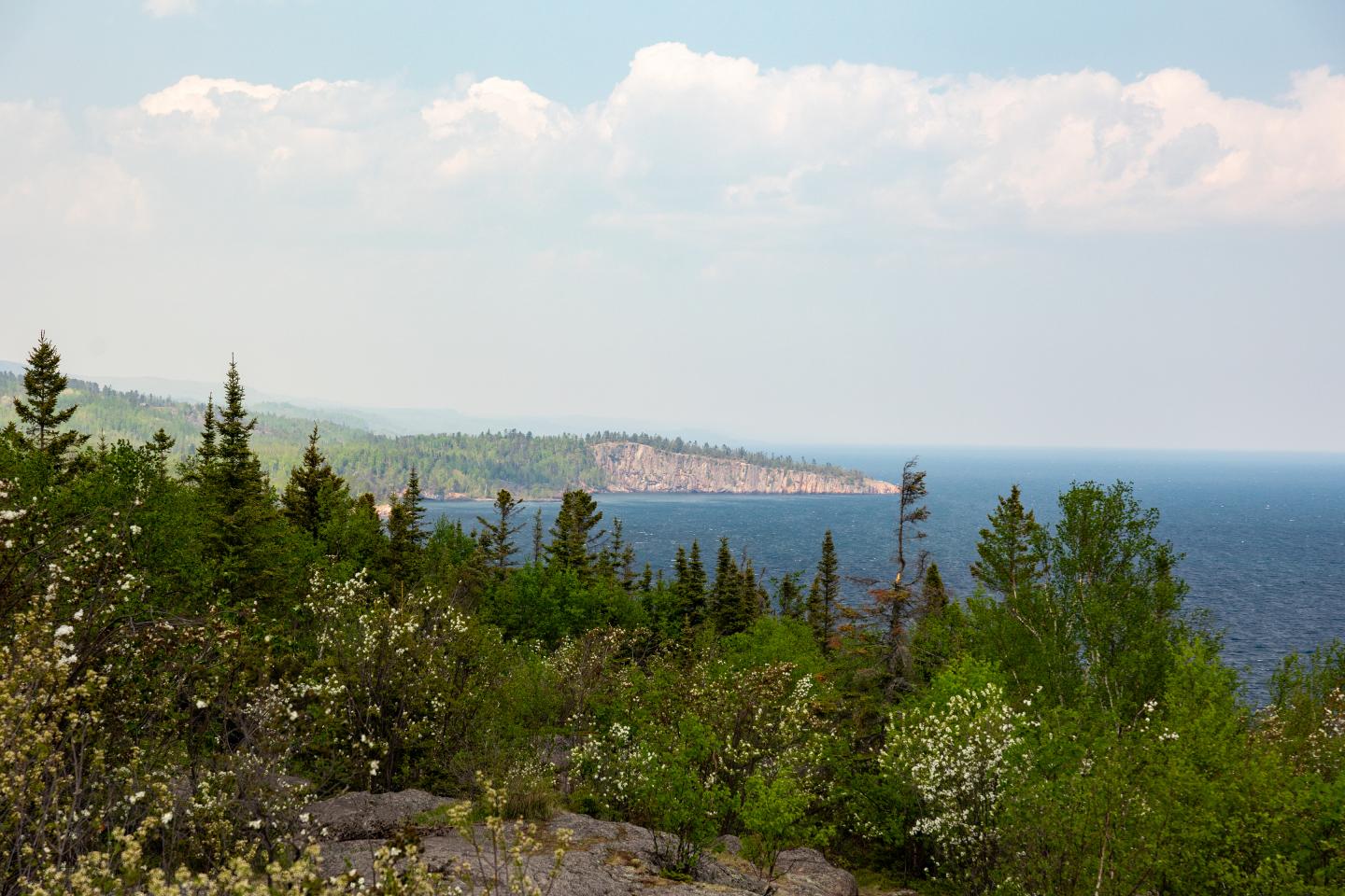 Lush green forest by a blue lake under a cloudy sky.