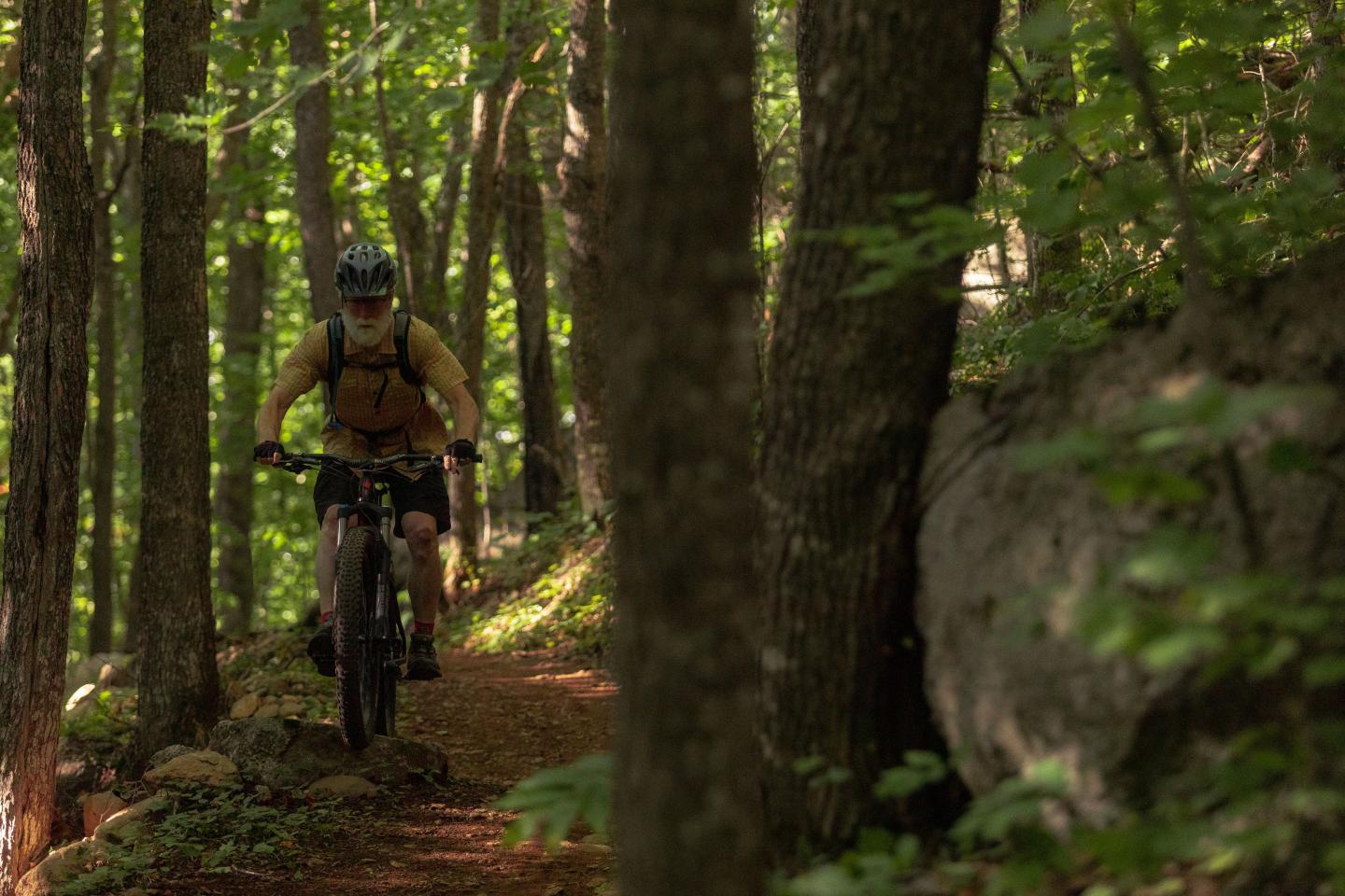 Mountain biker riding through a lush forest trail.