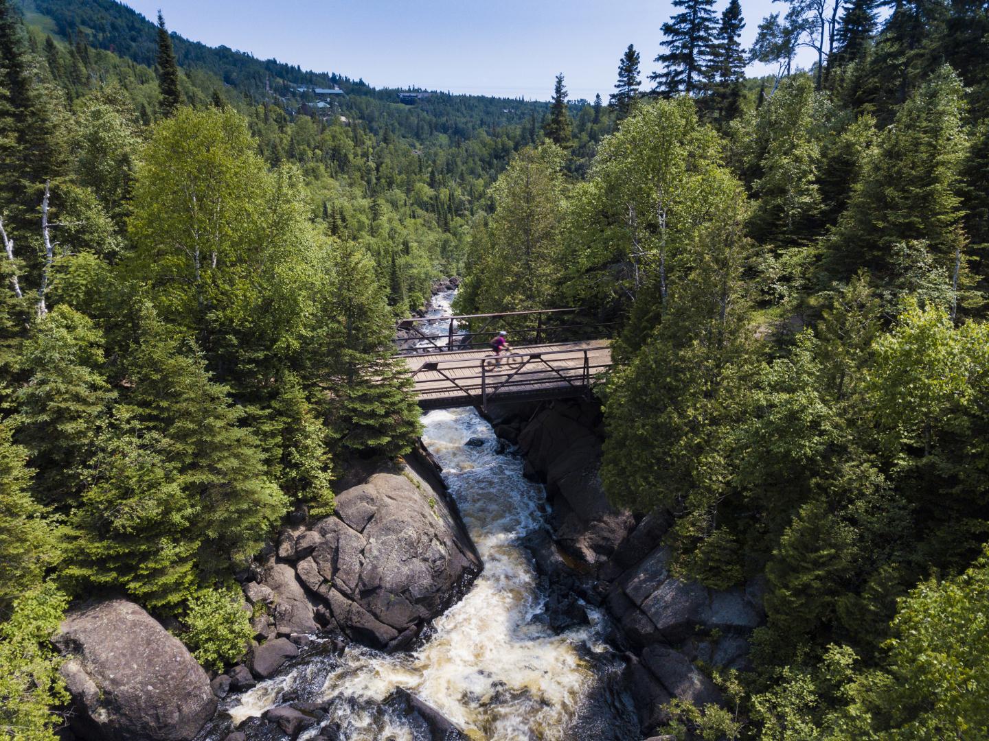 Wooden bridge over a rushing river in a forested area.