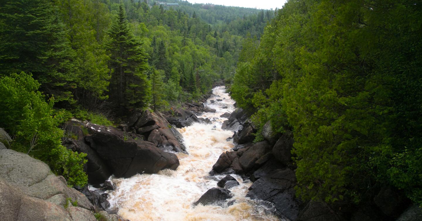 Flowing forest river connected to waterfall with lush green trees and rocky banks.