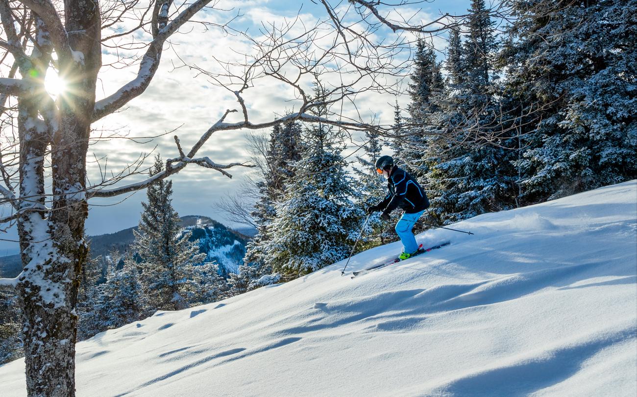 Skiing down a snowy slope in a sunlit winter forest.