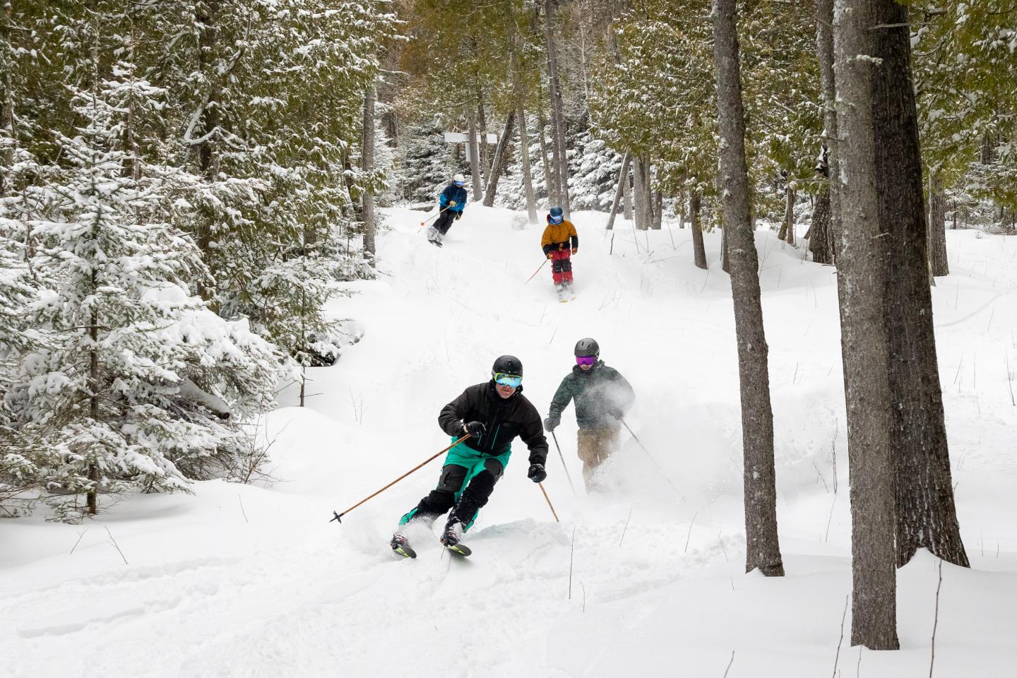 Skiers descending a snowy forest slope with pine trees around.