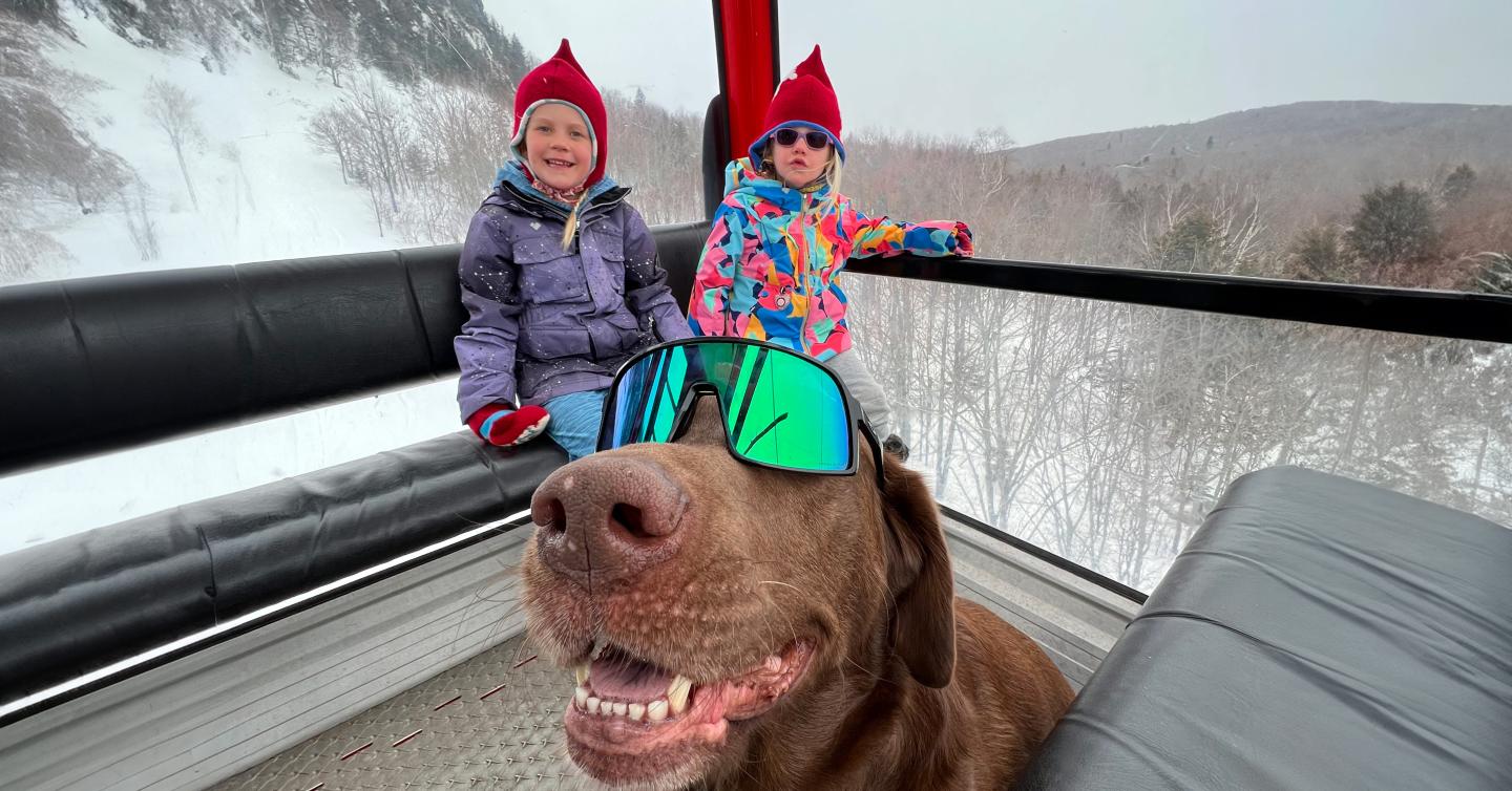 Dog wearing sunglasses with two children in winter clothing in a cable car.
