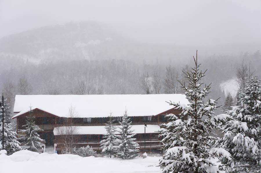 Snow-covered cabin surrounded by frosted pine trees in a misty mountain setting.