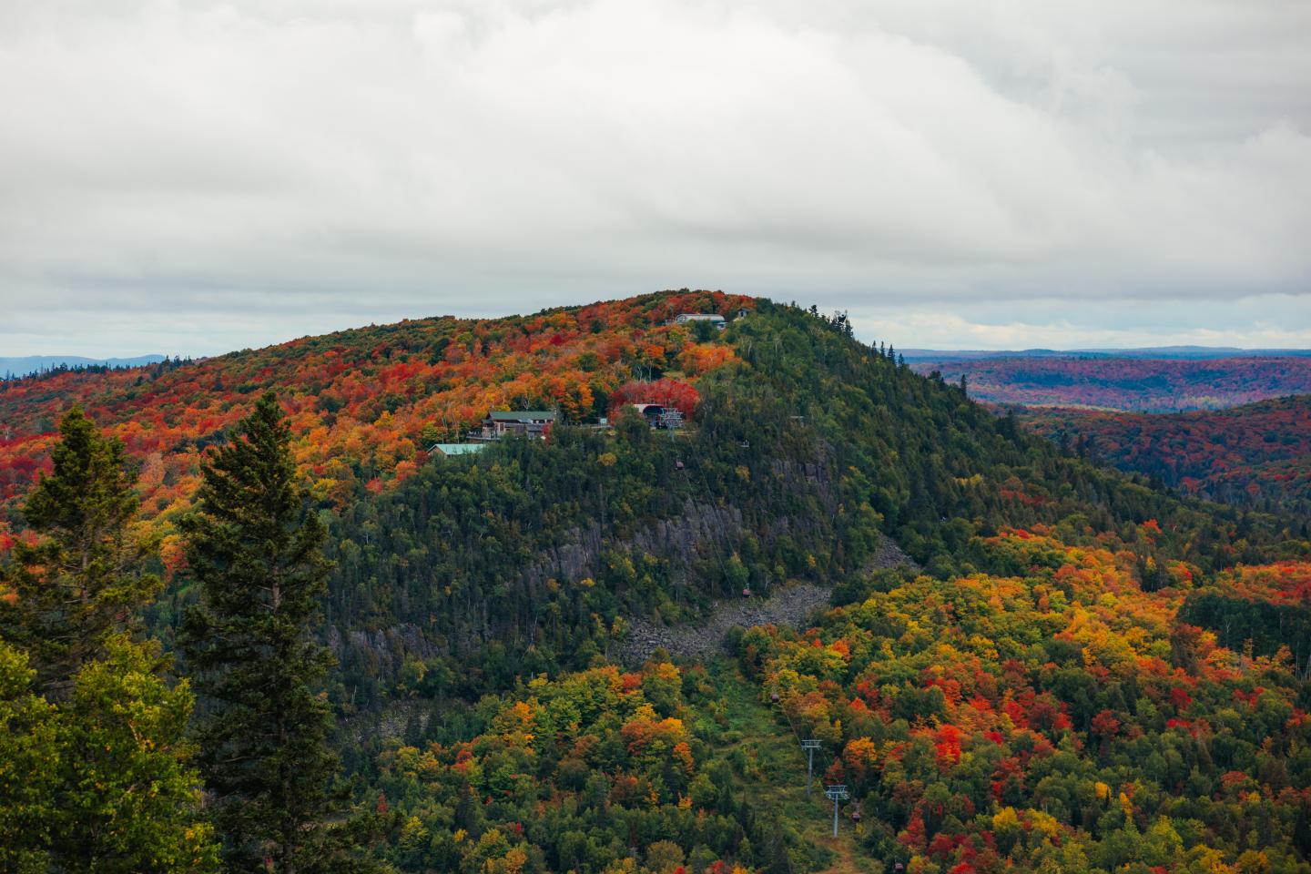 Autumn forest covering a mountain beneath a cloudy sky