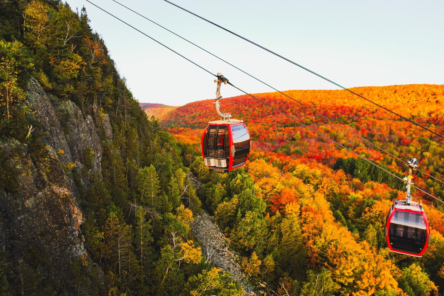 Gondolas gliding over a vibrant autumn forest.